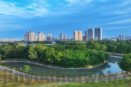 足球比分)-足球比分背后的故事,激情、策略与命运交织的绿茵场