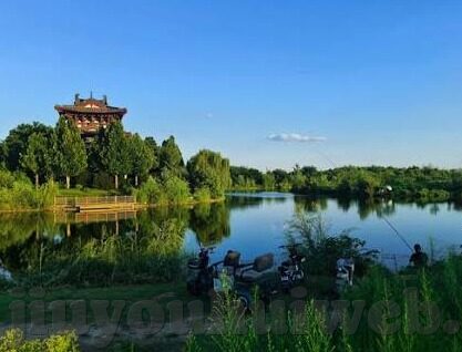 足球比赛 比分网-足球迷的数据宝藏库，深度解析比分网如何重塑观赛体验