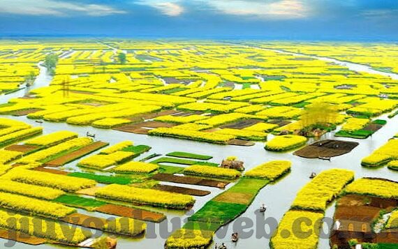 足球反比分系统-揭秘足球反比分系统，是颠覆传统的创新还是博彩陷阱？